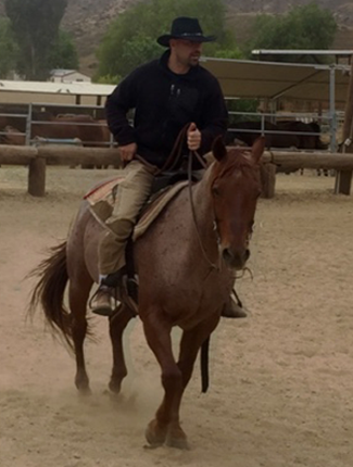 Training with a new horse